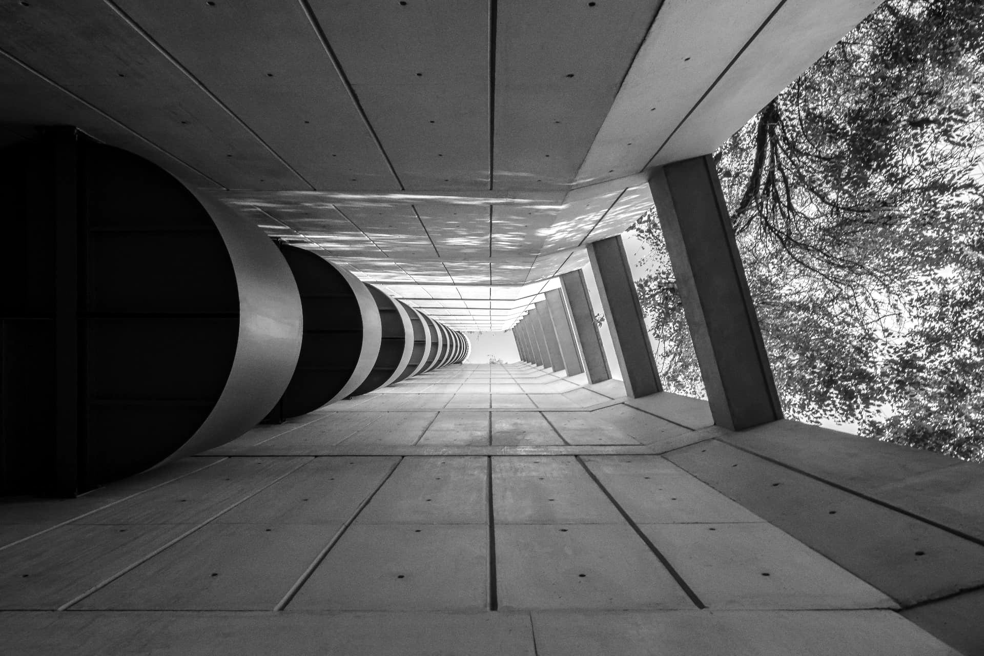 Vista hacia arriba del edificio Tonalá en blanco y negro, con concreto y follaje